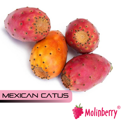 Mexican Cactus by Molinberry7.99Fusion Flavours  