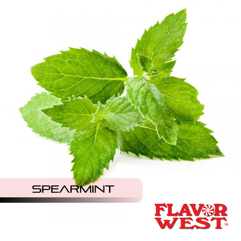 Spearmint (Natural) by Flavor West8.99Fusion Flavours
