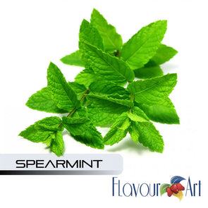Spearmint by FlavourArt7.99Fusion Flavours  