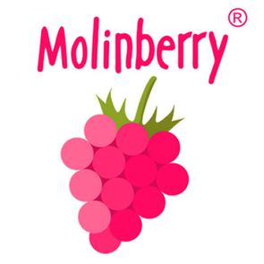 Molinberry Fusion Flavours  