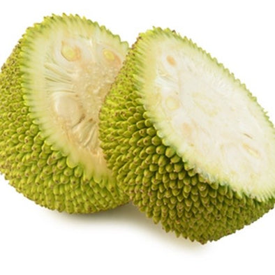 The Flavor ApprenticeJackfruit Flavour by Flavor Apprentice
