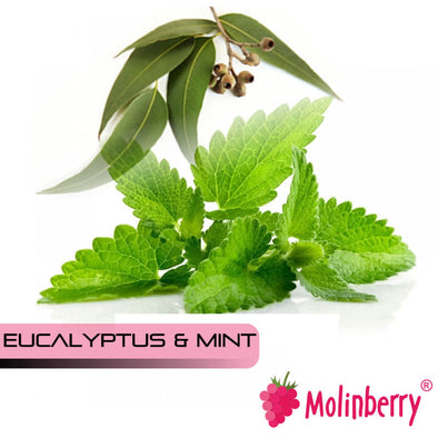 FlavoursEucalyptus & Mint by Molinberry