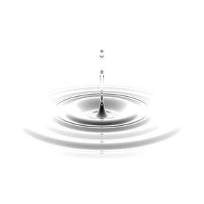 SweetenerSucralose Sweetener (liquid)  by Flavor West