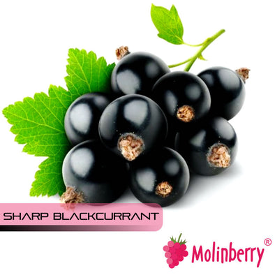 FlavoursSharp Blackcurrant by Molinberry
