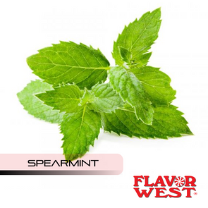 Flavor West Super Strength Flavour ExtractsSpearmint (Natural) by Flavor West